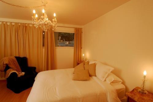 Aura Suites Boutique Hotel ブエノスアイレス エクステリア 写真